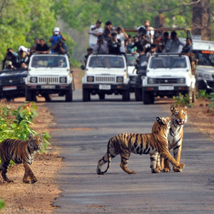 Exotic Jim Corbett & Nainital Retreat (4N-5D)