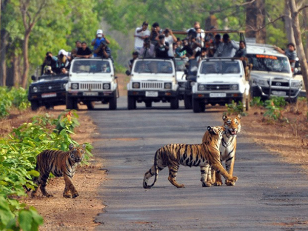 Exotic Jim Corbett & Nainital Retreat (4N-5D)