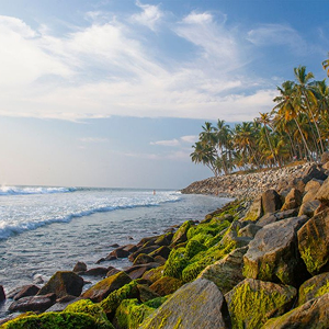 Kerala Coastal Escape (6N-7D)