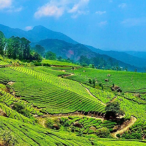 Mystic Hills of South India (5N-6D)