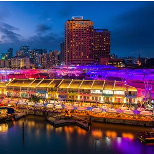 Enchanting Singapore Romance Getaway (6D-5N)
